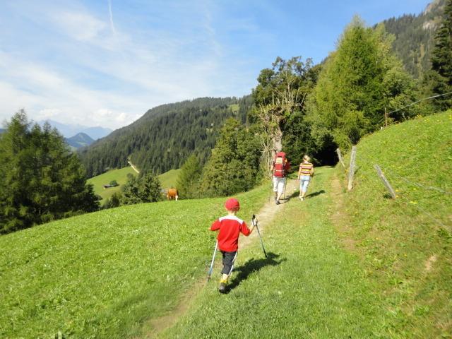 Hanslerfeld Alpbach Pokój zdjęcie