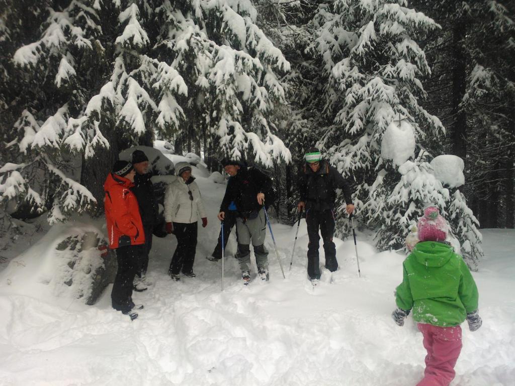 Hanslerfeld Alpbach Zewnętrze zdjęcie