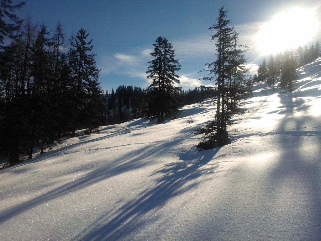 Hanslerfeld Alpbach Zewnętrze zdjęcie