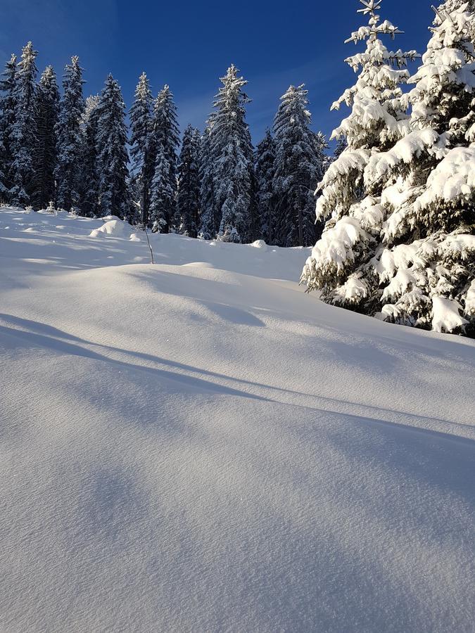Hanslerfeld Alpbach Zewnętrze zdjęcie