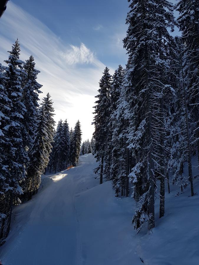 Hanslerfeld Alpbach Zewnętrze zdjęcie