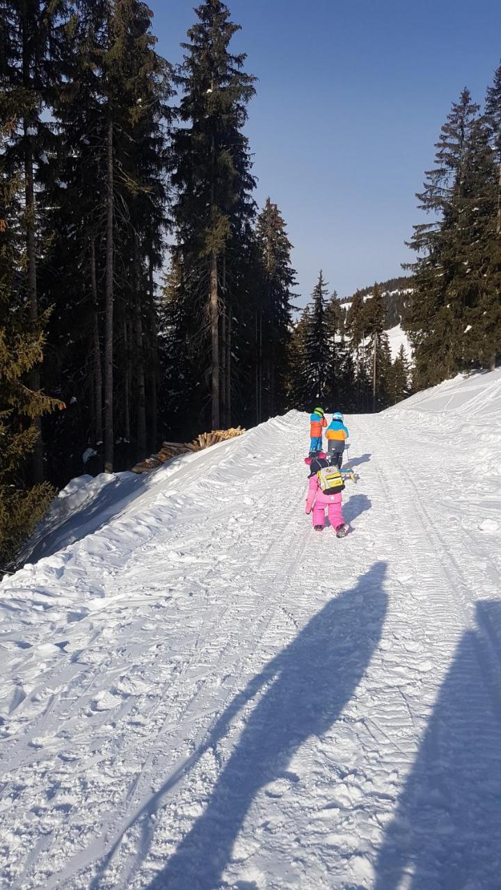 Hanslerfeld Alpbach Zewnętrze zdjęcie